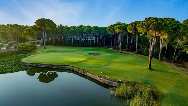 Golf Kampları